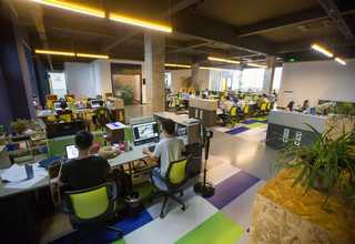 新吴区办公室绿植