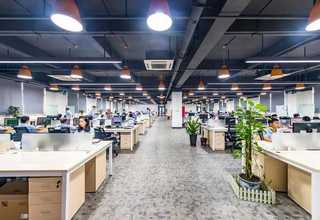 蚌埠羊毛衫刷毛机多少钱一台