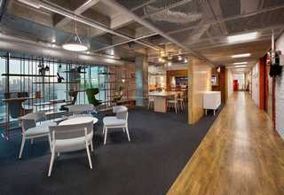 金坛区发财树租赁热线