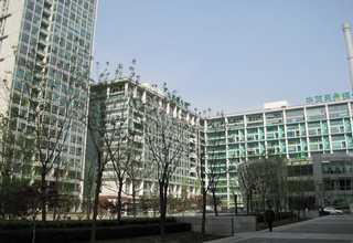 郑州瓷砖背胶防水乳液