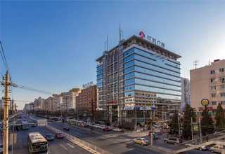 台州市无异味塑料绿植品牌